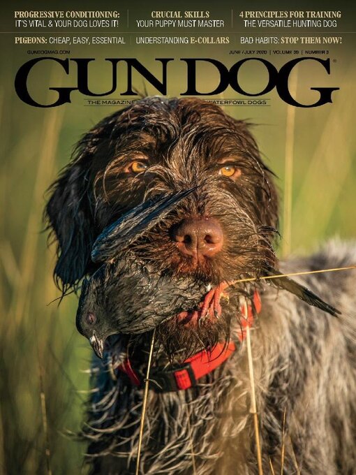 Title details for Gun Dog by KSE Sportsman Media, Inc. - Available